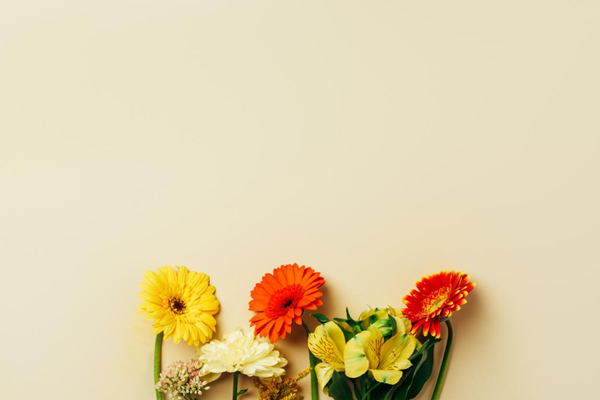 眼表眼角膜,希瑪瑞視眼科,上海眼科醫院 眼表眼角膜,希瑪瑞視眼科,上海眼科醫院