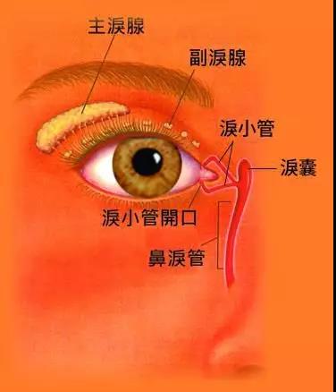 眼眶病,?，斎鹨曆劭?上海眼科醫院