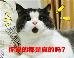 小兒眼病,希瑪瑞視眼科,上海眼科醫院 小兒眼病,希瑪瑞視眼科,上海眼科醫院