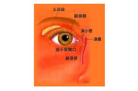 眼眶病,希瑪瑞視眼科,上海眼科醫院