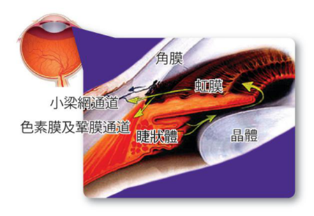 青光眼,希瑪瑞視眼科,上海眼科醫(yī)院 青光眼,希瑪瑞視眼科,上海眼科醫(yī)院