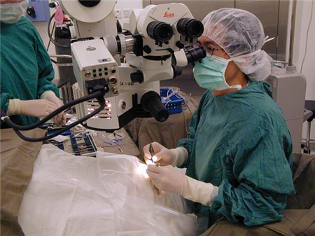 玻璃體視網膜,希瑪瑞視眼科,上海眼科醫院 玻璃體視網膜,希瑪瑞視眼科,上海眼科醫院