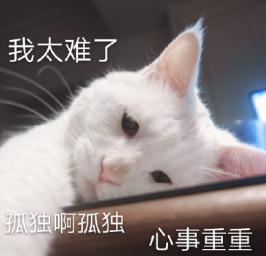 白內障,希瑪瑞視眼科,上海眼科醫(yī)院