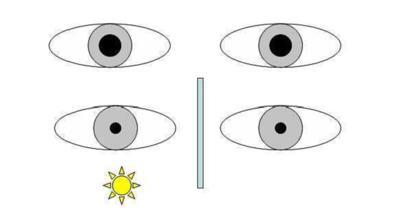 玻璃體視網(wǎng)膜