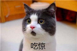 青光眼,希瑪瑞視眼科,上海眼科醫院