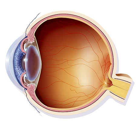 青光眼,希瑪瑞視眼科,上海眼科醫院 青光眼,希瑪瑞視眼科,上海眼科醫院