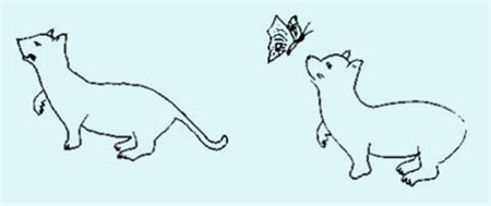 小兒眼病,希瑪瑞視眼科,上海眼科醫院 小兒眼病,希瑪瑞視眼科,上海眼科醫院