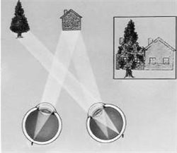 小兒眼病,希瑪瑞視眼科,上海眼科醫(yī)院 小兒眼病,希瑪瑞視眼科,上海眼科醫(yī)院