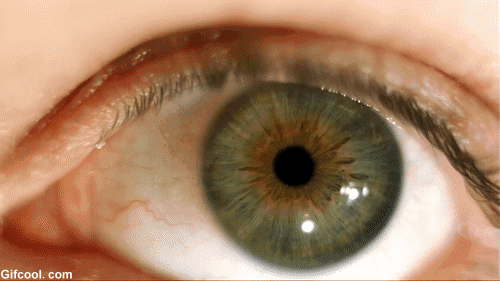 眼表眼角膜,希瑪瑞視眼科,上海眼科醫院