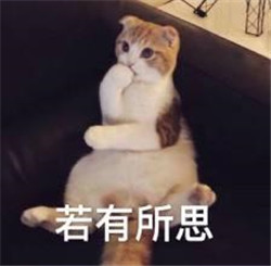 玻璃體視網膜,希瑪瑞視眼科,上海眼科醫院 玻璃體視網膜,希瑪瑞視眼科,上海眼科醫院