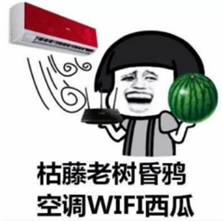 眼表眼角膜,希瑪瑞視眼科,上海眼科醫(yī)院 眼表眼角膜,希瑪瑞視眼科,上海眼科醫(yī)院