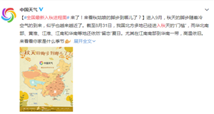 眼表眼角膜,希瑪瑞視眼科,上海眼科醫院