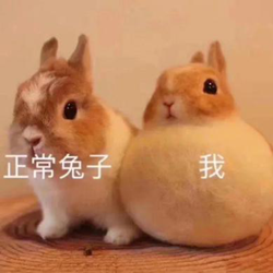 眼表眼角膜,希瑪瑞視眼科,上海眼科醫院