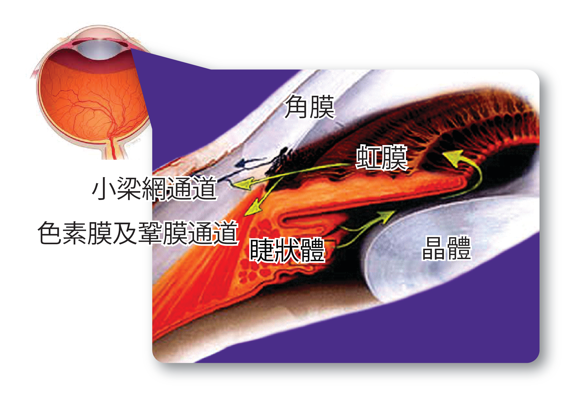 青光眼,希瑪瑞視眼科,上海眼科醫(yī)院 青光眼,希瑪瑞視眼科,上海眼科醫(yī)院