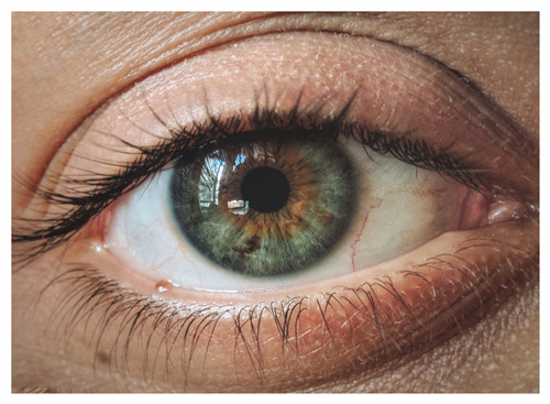 玻璃體視網(wǎng)膜,希瑪瑞視眼科,上海眼科醫(yī)院 玻璃體視網(wǎng)膜,希瑪瑞視眼科,上海眼科醫(yī)院